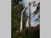 Cela Spyder DT22 Foto 8 thumbnail