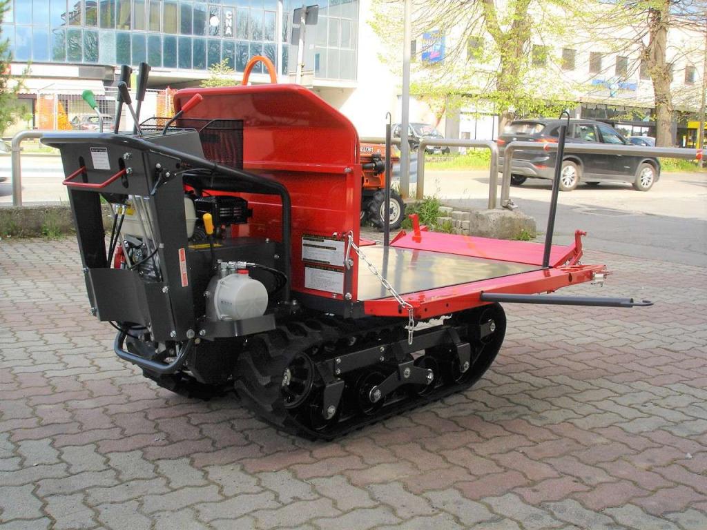 Gior 1000 AGRICOLA FORESTALE HONDA Foto 19