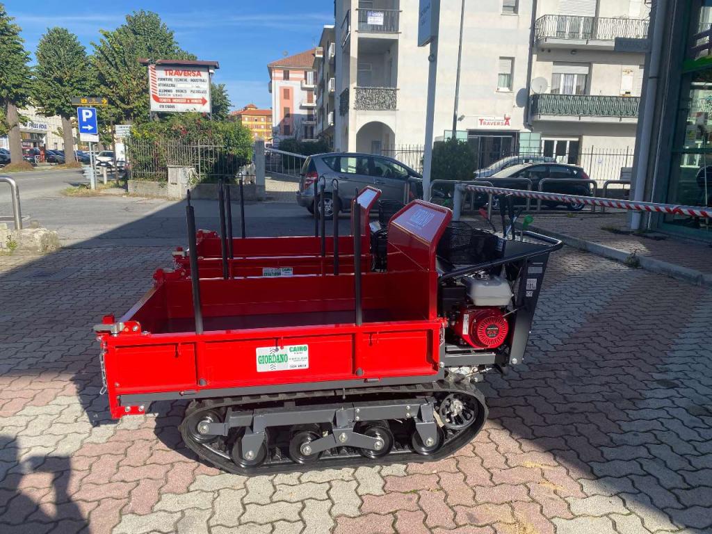 Gior 1000 AGRICOLA FORESTALE HONDA Foto 9