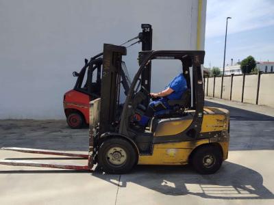 Yale GDP30VX in vendita da Omeco Spa
