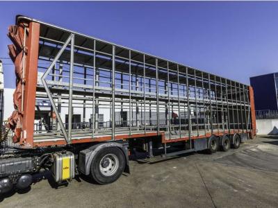 Lecitrailer CUELLO CISNE 3E-RD+DOUBLE ETAGE+DHOLLANDIA 2TON in vendita da Braem NV