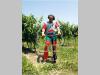 Efco TR 1551 Foto 6 thumbnail