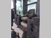Fiat Hitachi FD14E Foto 12 thumbnail