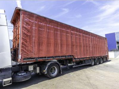 Lecitrailer CUELLO CISNE 3E-RD+DOUBLE ETAGE+DHOLLANDIA 2TON in vendita da Braem NV