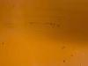 Volvo L150E Foto 14 thumbnail