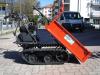 Gior 400 FORESTALE - CASSONE AGRICOLO - MOTOREZANETTI Foto 1 thumbnail