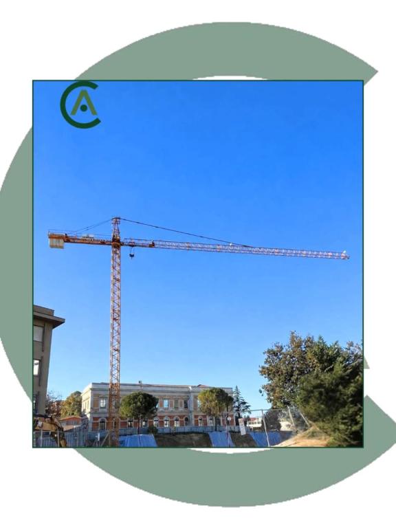 Liebherr 63 LC Foto 1