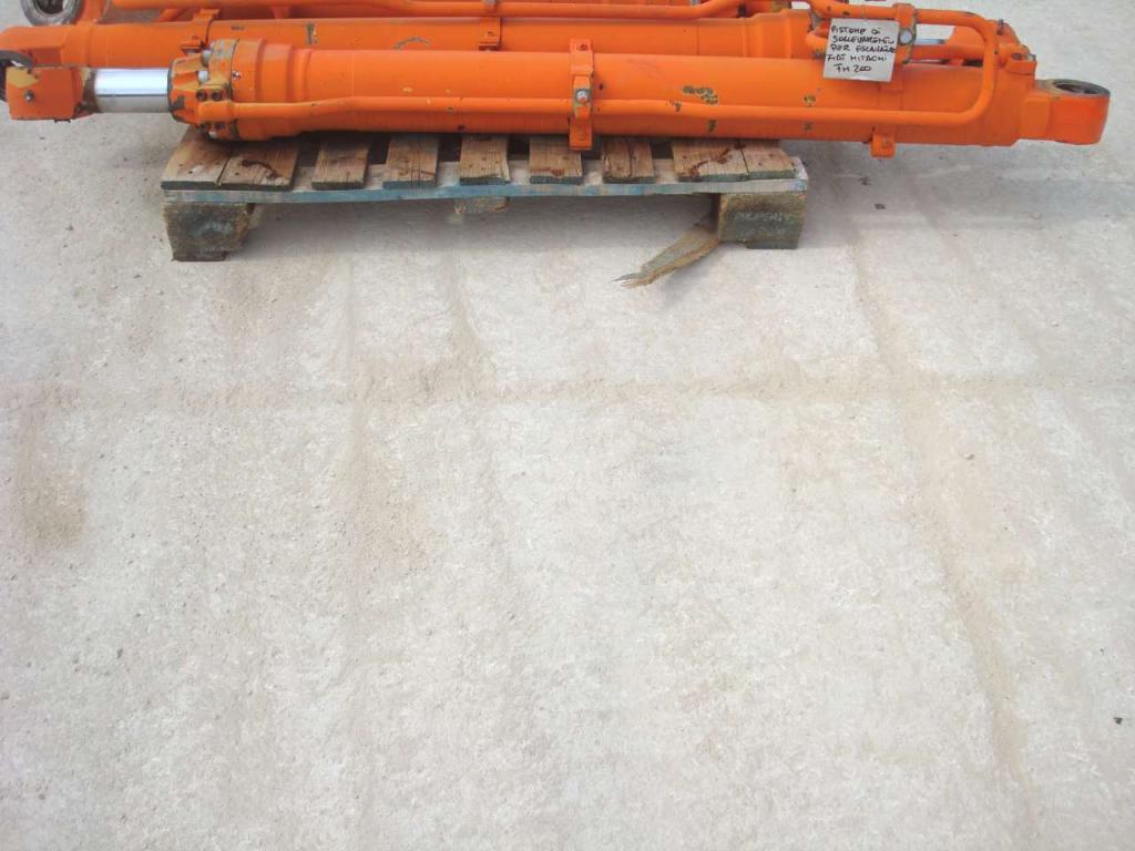 Pistone sollevamento per Fiat Hitachi FH 200 Foto 1