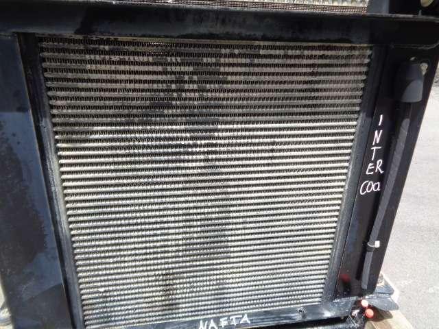 Radiatore per Case 921 C Foto 2