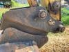Yanmar VIO75 Foto 12 thumbnail