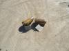Tampone tendicingolo per Fiat Allis FE28 Foto 1 thumbnail