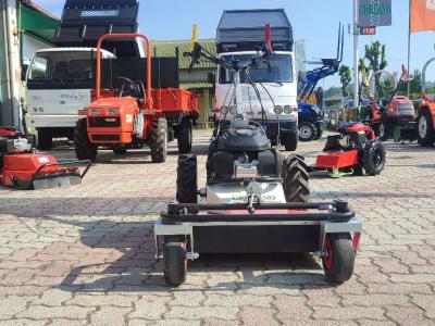 Tekna FL 620 - HONDA BENZINA - LARGHEZZA TAGLIO CM 60 in vendita da Giordano Srl