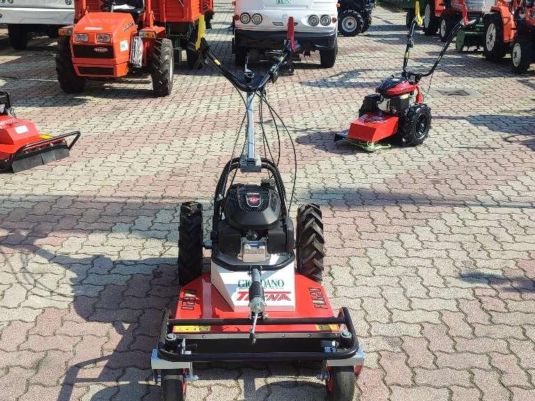 Tekna FL 620 - HONDA BENZINA - LARGHEZZA TAGLIO CM 60 Foto 2
