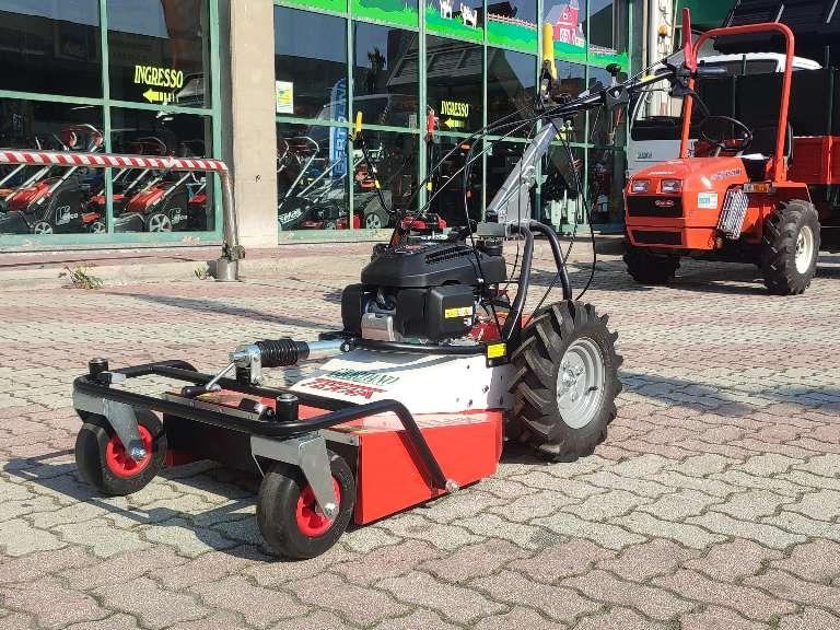 Tekna FL 620 - HONDA BENZINA - LARGHEZZA TAGLIO CM 60 Foto 4