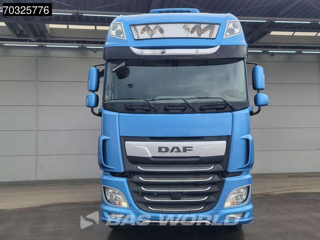 Daf XF 480 4X2 SSC Parkingcooler Foto 3