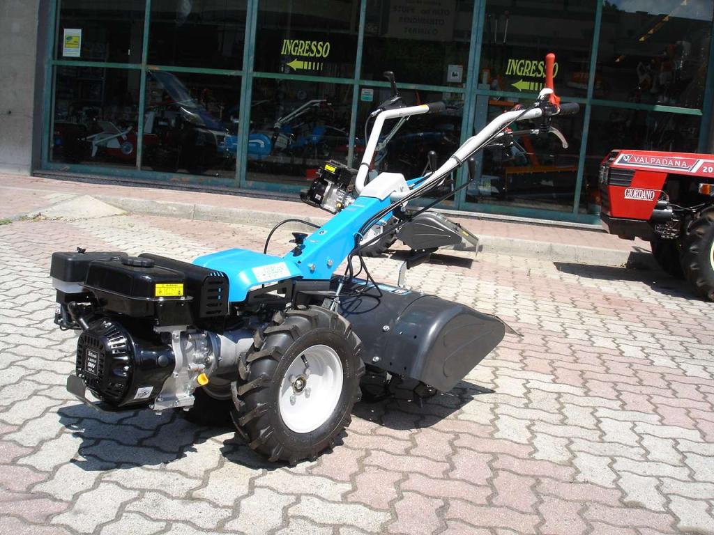 Bertolini 405 S Emak Diesel Foto 1