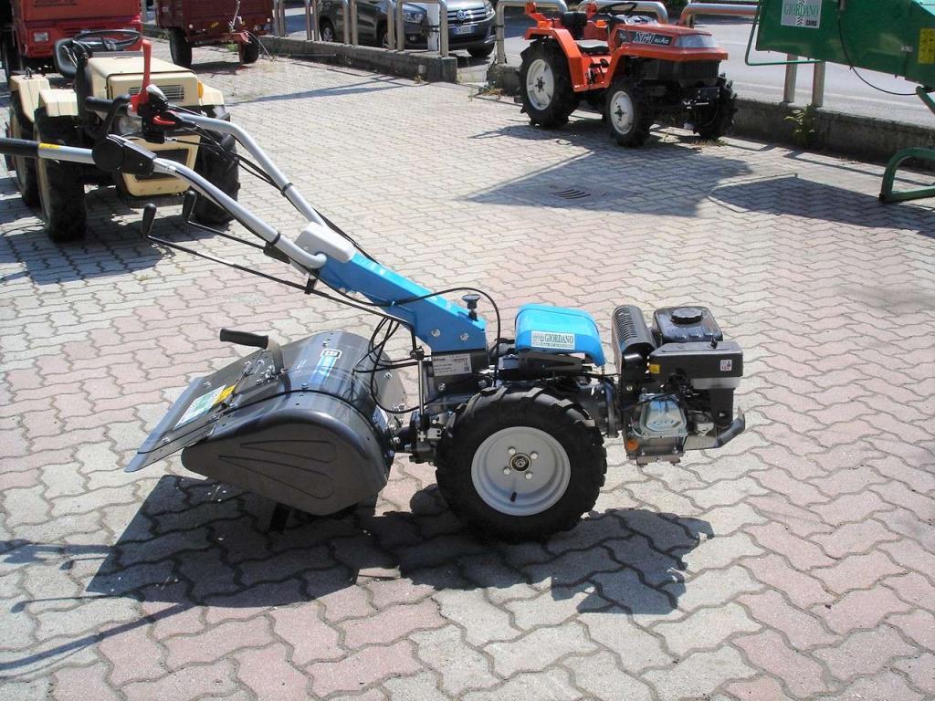 Bertolini 405 S Emak Diesel Foto 6