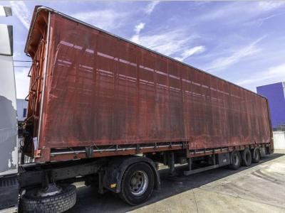 Lecitrailer CUELLO CISNE 3E-RD+DOUBLE ETAGE+DHOLLANDIA 2TON in vendita da Braem NV