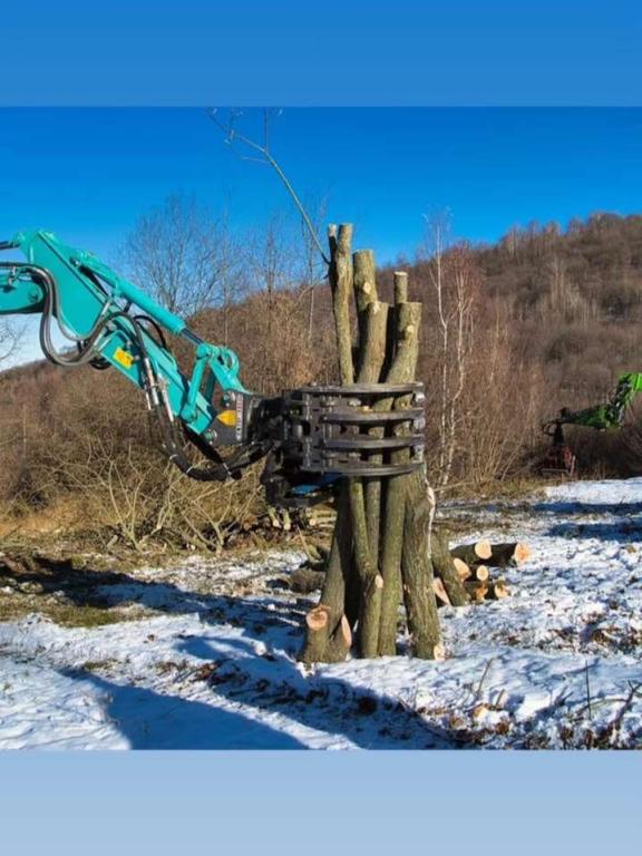 EMM Pinza multifunzione 50 / 120 q.li Foto 2
