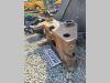 S1 for 20-25 ton excavators Attacco rapido idraulico Foto 3 thumbnail