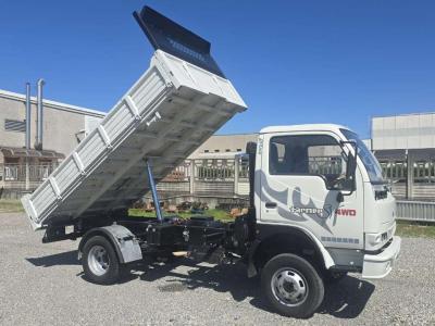 Durso Farmer 4 WD, portata 38 qli in vendita da Rwe Macchine Srl