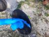 TORRE 4DISCHI T30 Foto 7 thumbnail