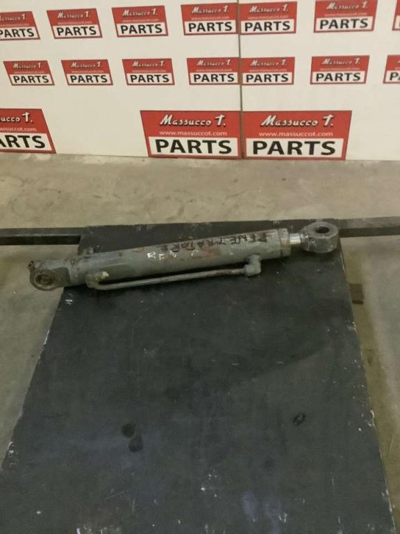 Pistone di penetrazione per Neuson 3402 Foto 3