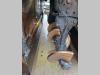 Dynapac SD 2500WS Foto 12 thumbnail