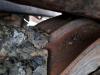 Liebherr PR736LGP Foto 19 thumbnail
