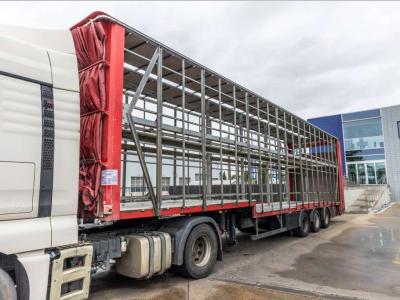 Lecitrailer CUELLO CISNE 3E-RD+DOUBLE ETAGE+DHOLLANDIA 2TON in vendita da Braem NV