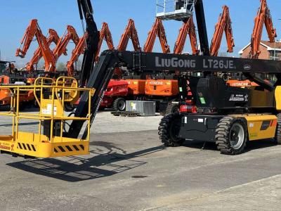 Liugong LT26JE in vendita da Massucco T. Srl