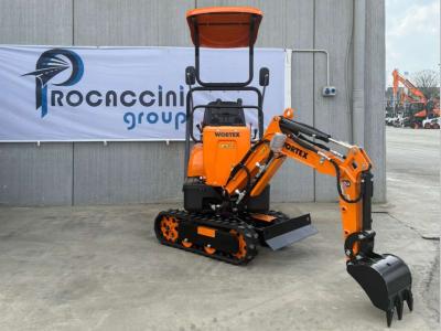 Wortex RAPTOR 600 in vendita da Procaccini Group Nord