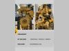 Caterpillar MOTORE REVISIONATO CAT C7.1 Foto 3 thumbnail