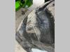 Merlo TF42.7-140 Foto 8 thumbnail