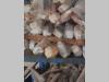Kit pistone / Cilindro idraulico Foto 3 thumbnail