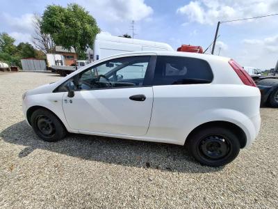 Fiat PUNTO in vendita da Bernardi Srls