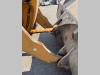 Liebherr L550-2plus2 Foto 14 thumbnail