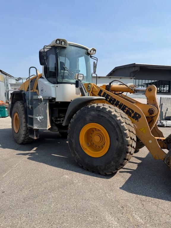 Liebherr L550-2plus2 Foto 1