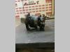 Motore di rotazione ralla per Neuson 3402 Foto 2 thumbnail