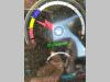 Sany SY26 Foto 14 thumbnail