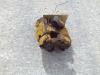 Albero di trasmissione per Caterpillar 920  -  POSTERIORE - Foto 3 thumbnail