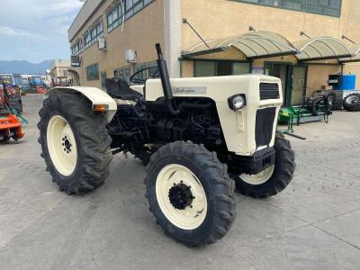 Lamborghini 355 DT (55 CAVALLI) in vendita da Calabria Trattori Srl