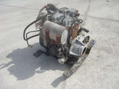 Motore a scoppio per HATZ 2630 in vendita da OLM 90 Srl