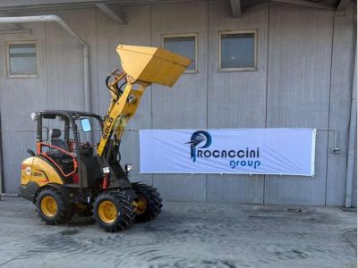 SDLG L902H in vendita da Procaccini Group Sud