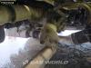 Scania G450 4X2 Hydraulik Leder Foto 15 thumbnail