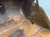 Miller Caterpillar M318D / 320D / 320E / 320F / 323D / 32 Foto 8 thumbnail