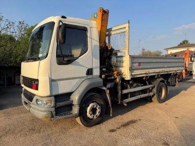Daf (MACCHINA OPERATRICE) in vendita da G.M. Service srl