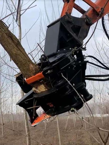 EMM Cesoia forestale per escavatori 150/200 q.li Foto 4