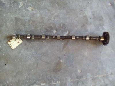 Albero a camme per MOTORE 8365.05 in vendita da OLM 90 Srl