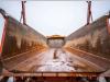 Galtrailer B2PS-10CNN - HYDR. ACHTERDEUR Foto 12 thumbnail